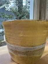 Load image into Gallery viewer, Sunflower - SECOND
